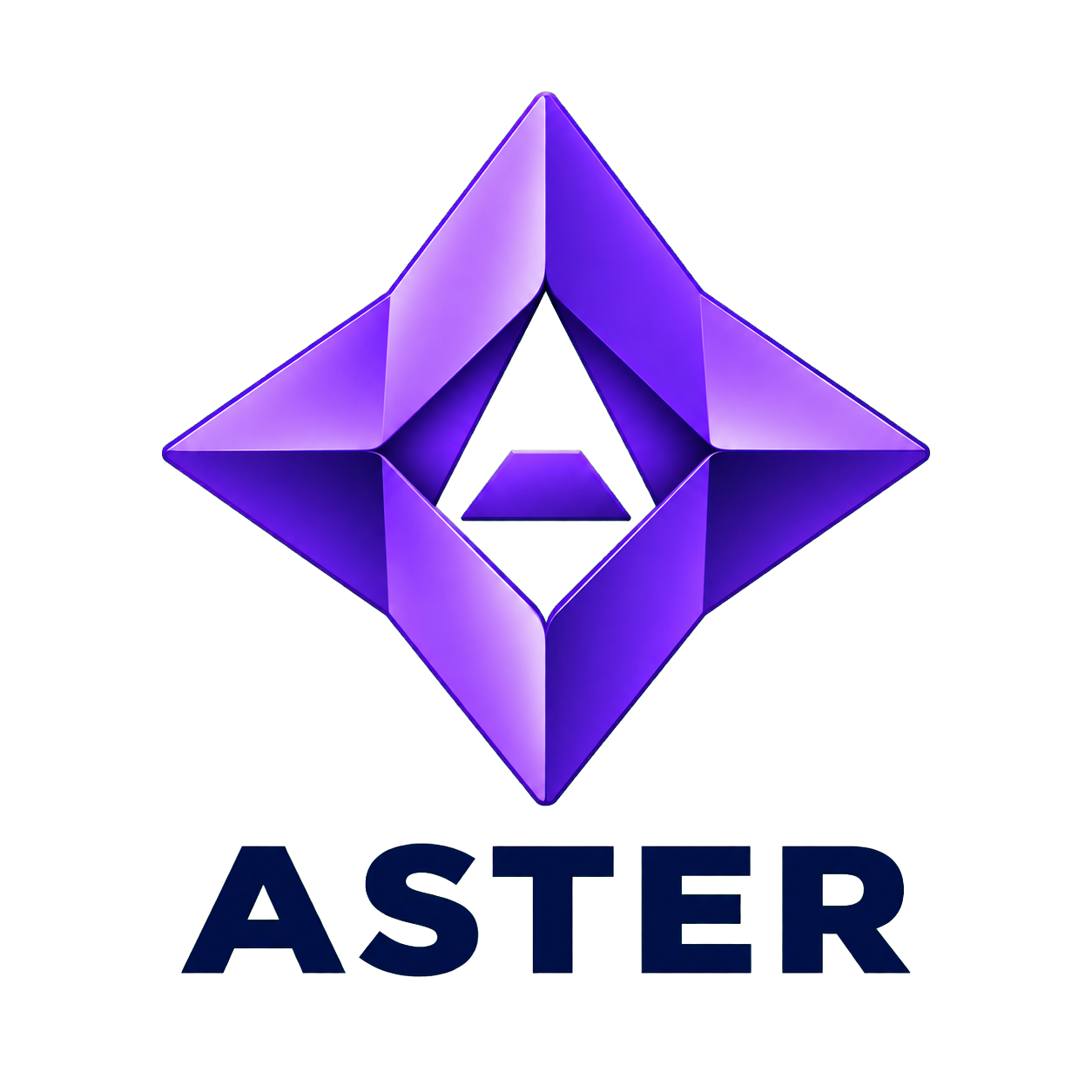 ASTER 재무관리